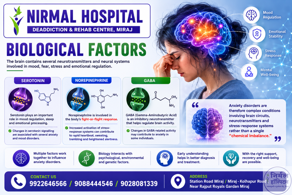Biological Factors of Anxiety
