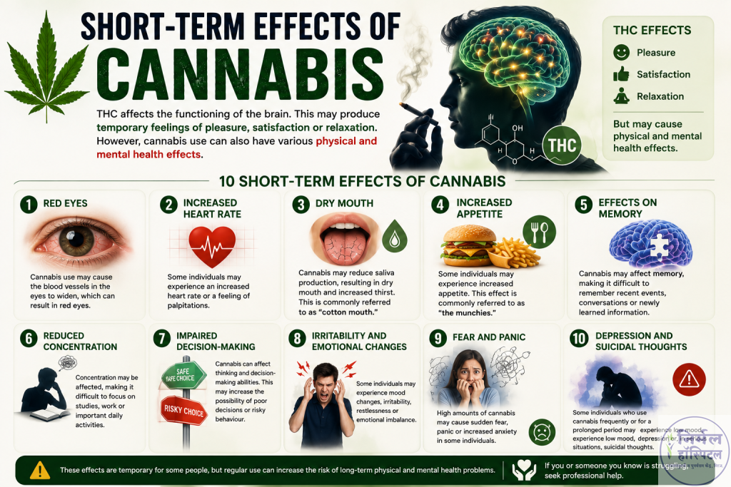 2. Cannabis Addiction: Essential Symptoms, Effects & Withdrawal Short-term effects of cannabis on the brain and body