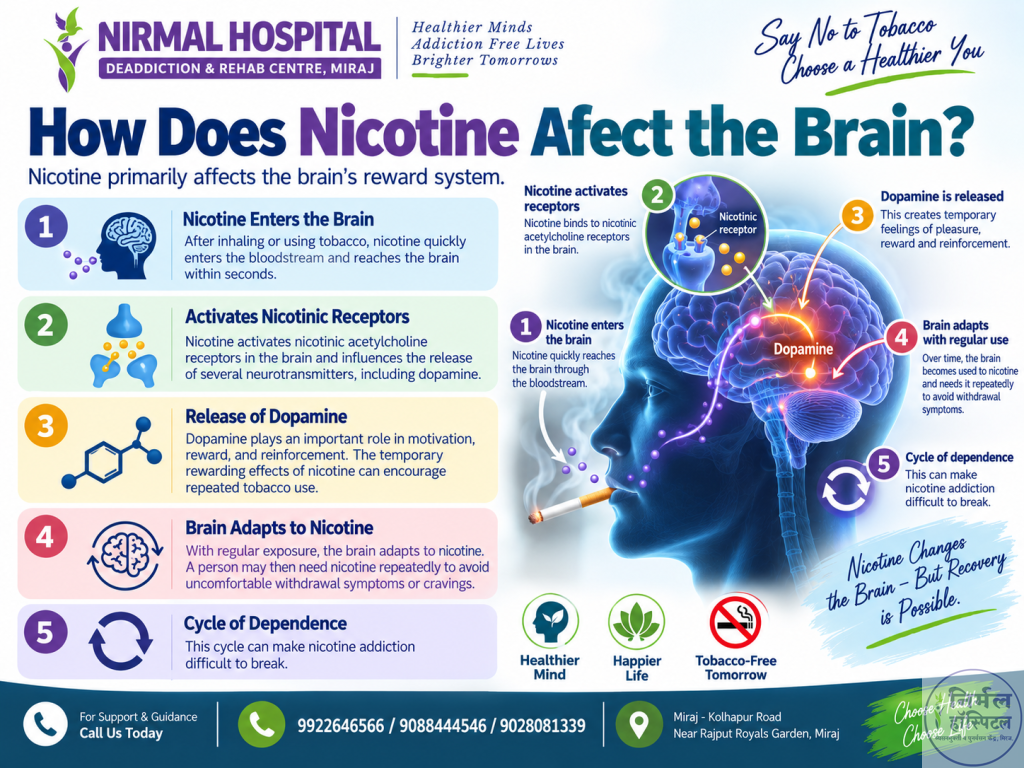 4. Nicotine Addiction: 8 Causes, Effects & Withdrawal Symptoms How Does Nicotine Affect the Brain?