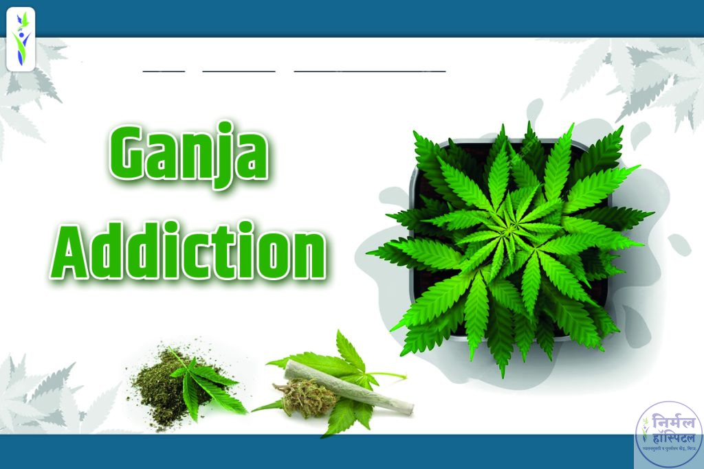 ganja