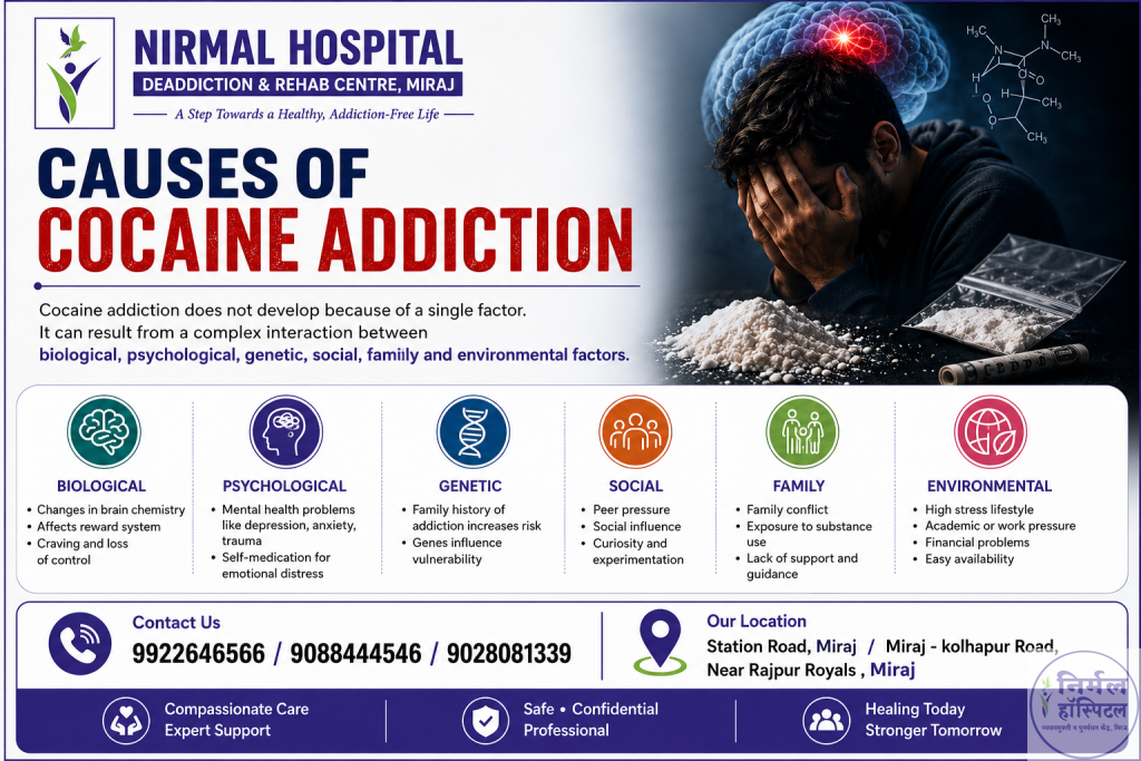 Causes of Cocaine Addiction