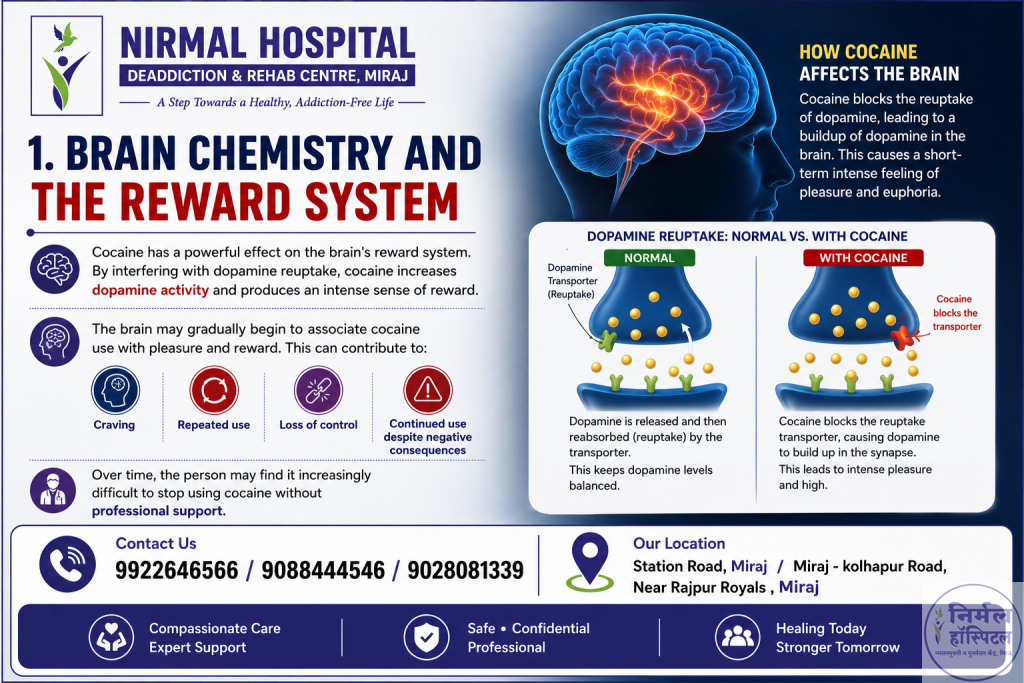 Brain Chemistry and the Reward System