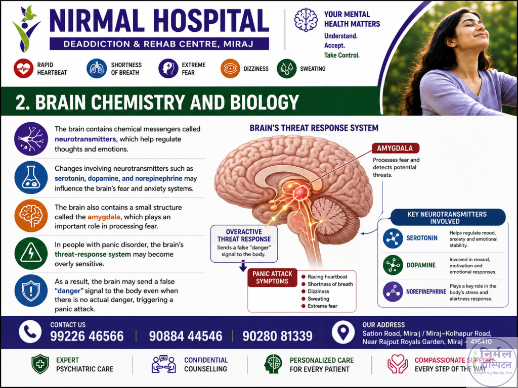 Panic Disorder Brain Chemistry and Biology